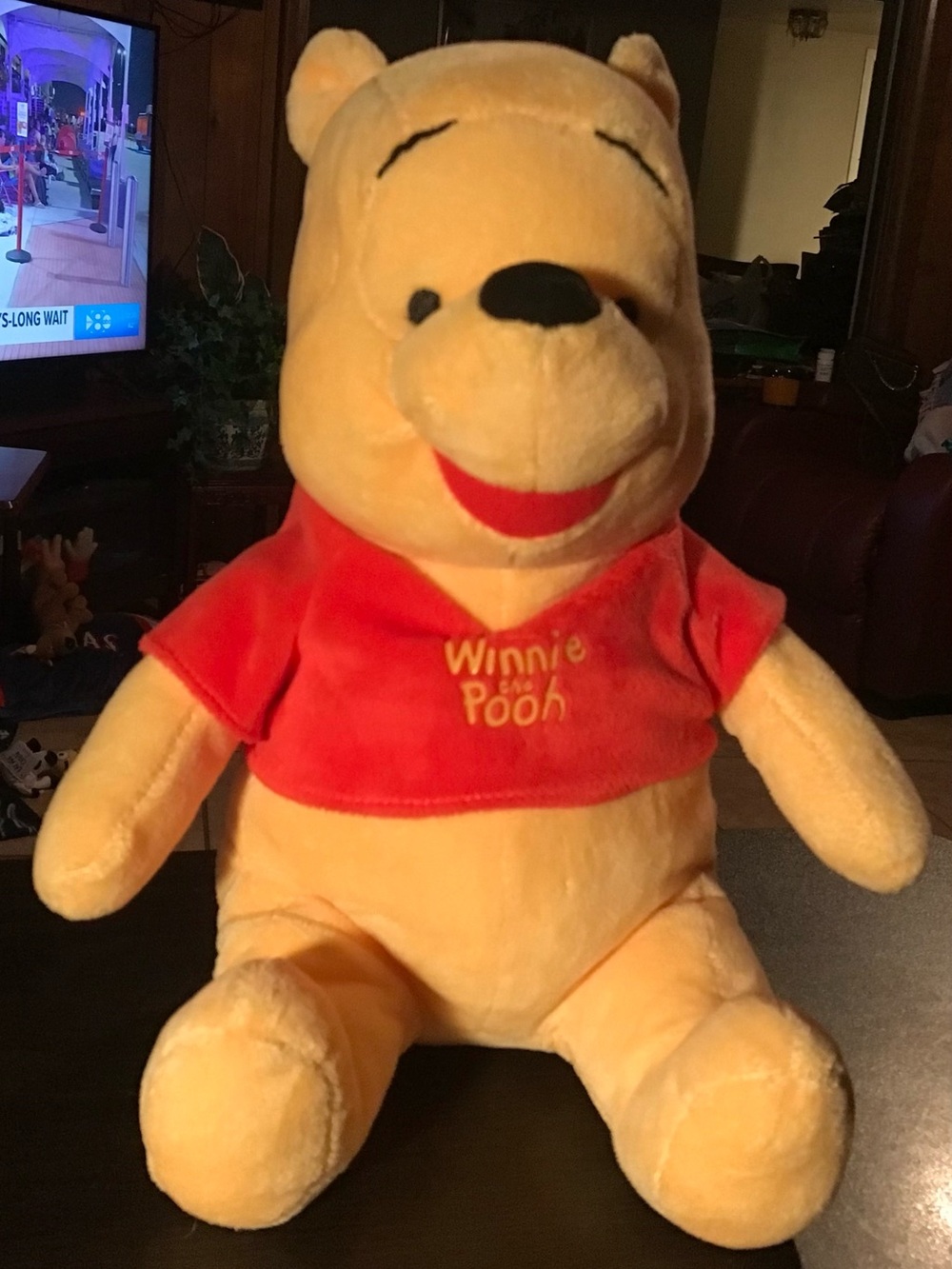 Disney Winnie the Pooh Plush - Yellow and Red